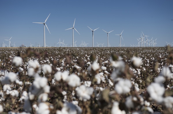 Texas wind farm