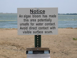 Warning sign in a beach on Lake Marion, Kansas.