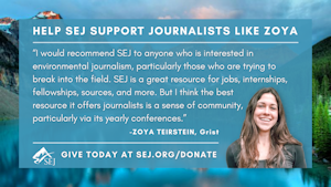 Fundraiser graphic for Zoya Teirstein