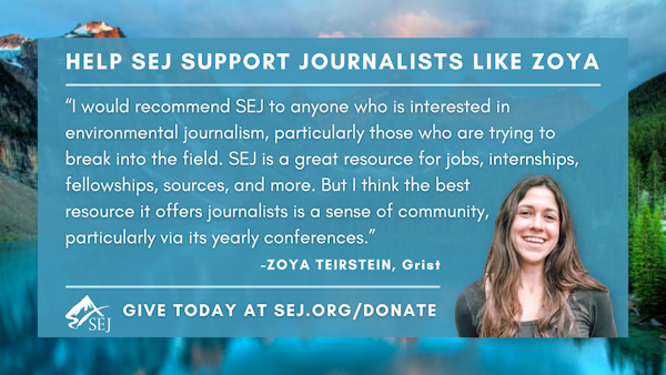 Fundraiser graphic for Zoya Teirstein