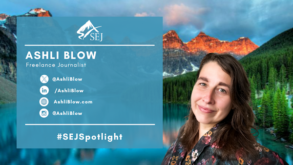 #SEJSpotlight graphic for Ashli Blow