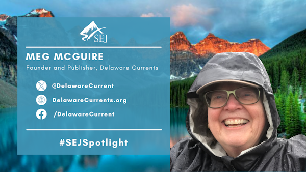 #SEJSpotlight graphic for Meg McGuire