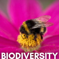 Biodiversity topic graphic